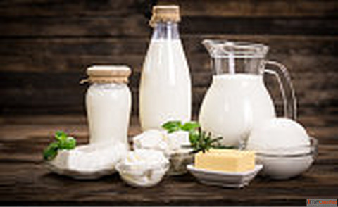 Buy Fresh Gir Cow Milk - Natural A2 Milk for Better Digestion Health