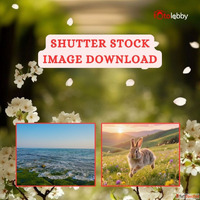 Shutter Stock Image Download