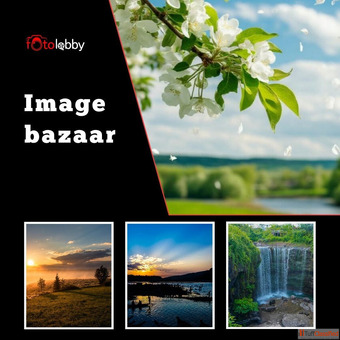 Image bazaar