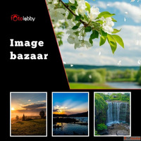 Image bazaar