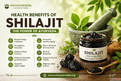 Boost Energy Naturally with Shilajit - Ayurvedic Remedy