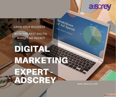 Find Best Digital Marketing Agency In India By Adscrey