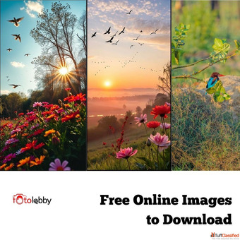 Free Online Images to Download