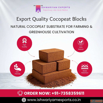 Bulk Cocopeat Blocks Exporter with High Water Retention in Chennai