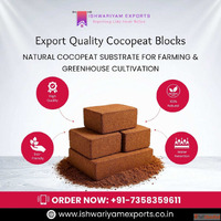 Bulk Cocopeat Blocks Exporter with High Water Retention in C...