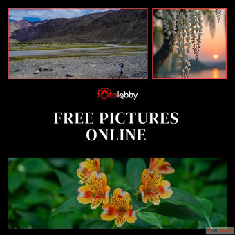 Free Pictures Online