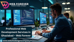 Professional Web Development Services in Ghaziabad - Web For...