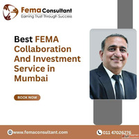 Best FEMA Collaboration and Investment Service in Mumbai