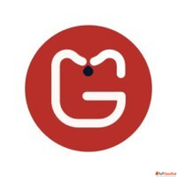 Professional SEO Optimization Service for Business Growth