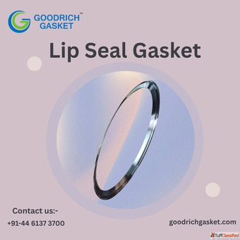 Best Lip Seal for Reliable Industrial Protection