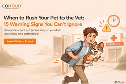 When to Rush Your Pet to the Vet 15 Warning Signs You Can ...