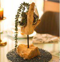 Stick Glass Roots Table Vase Decor for Rustic Sophistication