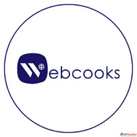 Digital Marketing Services in Punjab Webcooks Technologies