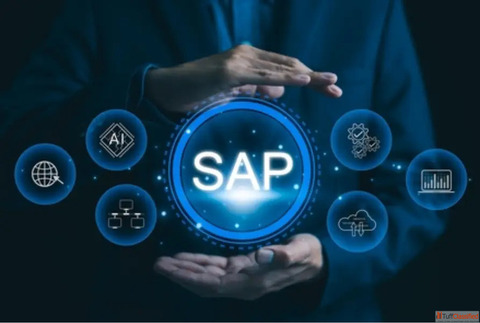 SAP Development Company