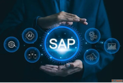 SAP Development Company