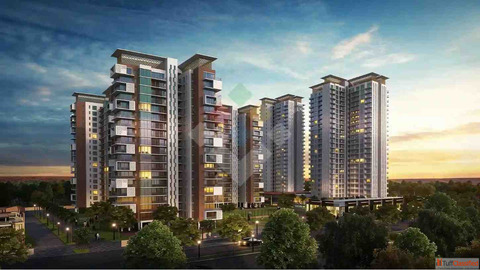 Ace Starlit Noida