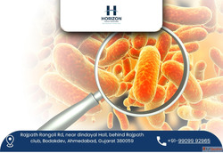 Expert Support for Cancer Surgery and Treatment