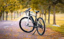 Electric Bicycle Benefits Save Money Time Energy