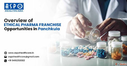 Ethical pharma franchise in Panchkula