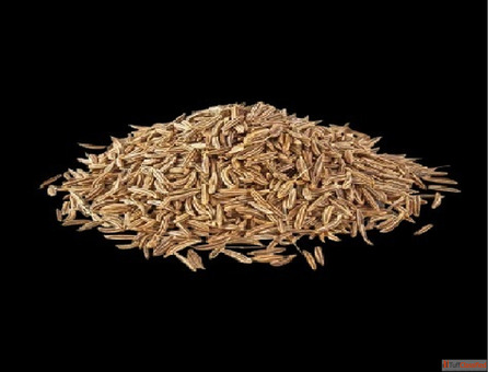 cumin seeds suppliers in india - bulk