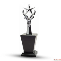 Metal Star Trophies