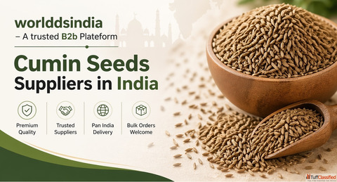 Cumin seeds wholesale suppliers in India