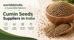 Cumin seeds wholesale suppliers in India
