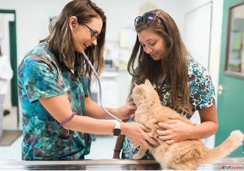 Top Veterinary Pharma Franchise in India