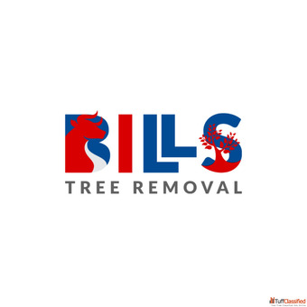 Tree Removal Rochester Safe Professional Tree Experts
