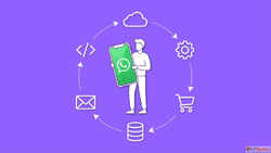 WhatsApp Business API in Sikkim