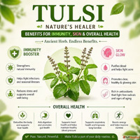 Tulsi Panchang Juice for Strong Immunity and Daily Detox