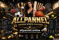 How to Use Allpaanel App Easily