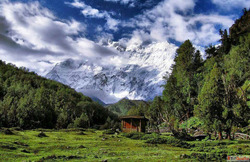 Fairy Meadows Trek 2026 Ultimate Guide to Nanga Parbat Base ...