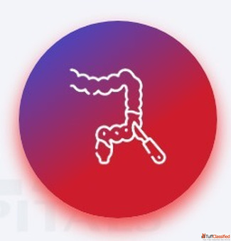 Hemorrhoidectomy Hospitals in Agartala