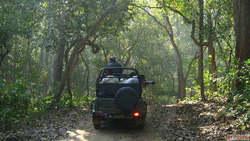 Why Bijrani Zone Corbett National Park Is One of India'...