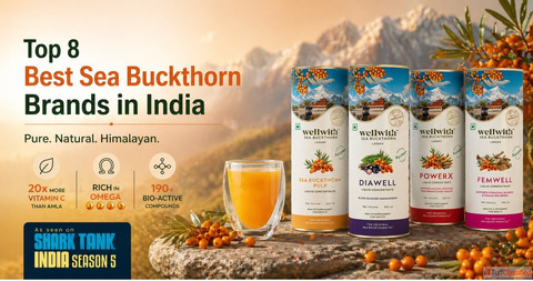 Top 8 Best Sea Buckthorn Brands in India