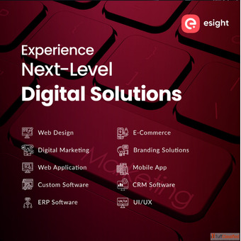 Rebranding Agency in Kochi Strategy to Identity Rollout eSight Solutions