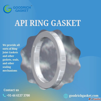 Top API ring gasket Manufacturer