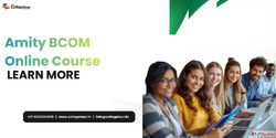 amity bcom online course