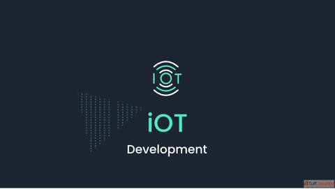 What is IOT Development Company