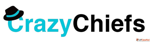 Professional SEO Services in Delhi NCR for Sustainable Growth