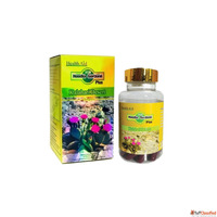 Hoodia Gordonii Plus Dubai - Advanced Weight Loss Capsules