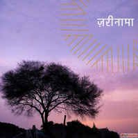 Embroidered Cloth Material