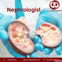 Trusted Nephrologist in Mumbai for Kidney Health Management