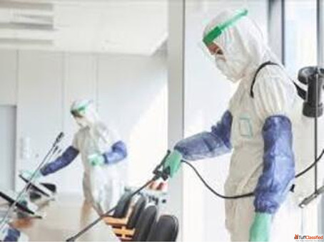 Best Pest Control Service Nagpur - Ozone Pest Management