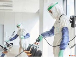 Best Pest Control Service Nagpur - Ozone Pest Management