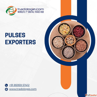 Buy Premium Quality Pulses in Bulk - Trusted Global Pulses Suppliers Exporters