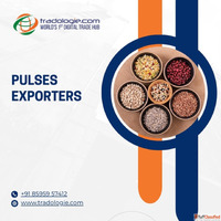 Buy Premium Quality Pulses in Bulk - Trusted Global Pulses S...