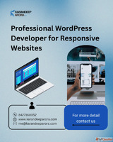 Professional WordPress Developer for Responsive Websites