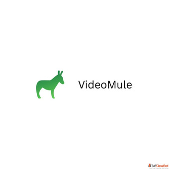 Turn Lessons into Engaging Videos Without Effort